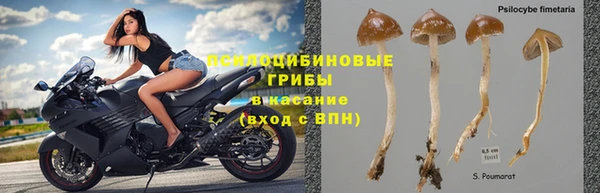 винт Абдулино