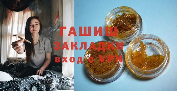 гашик Няндома