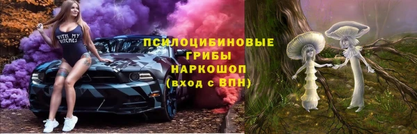гашик Абинск