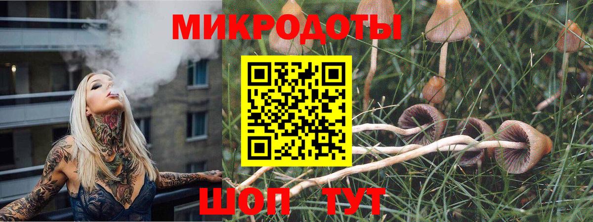 Галлюциногенные грибы Magic Shrooms  Вход с VPN  Курск 