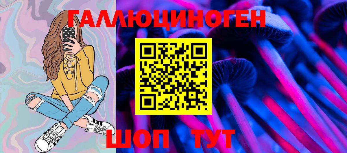 Галлюциногенные грибы Psilocybine cubensis Курск